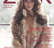 Cover_Winter2015.ZINK