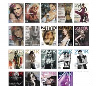 zinkcover13yrs